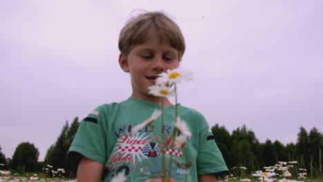 boy looking at daisies in a field