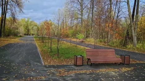 autumn park scene with paths and benches