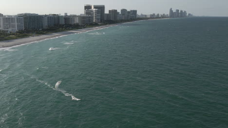 miami beach kite surfer corta diagonalmente a aguas más profundas en un día ventoso