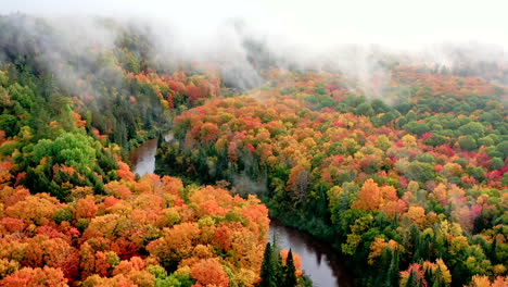 Drohnenaufnahme-Mit-Blick-Auf-Einen-Großen-Laubwald-In-Voller-Herbstfarbe