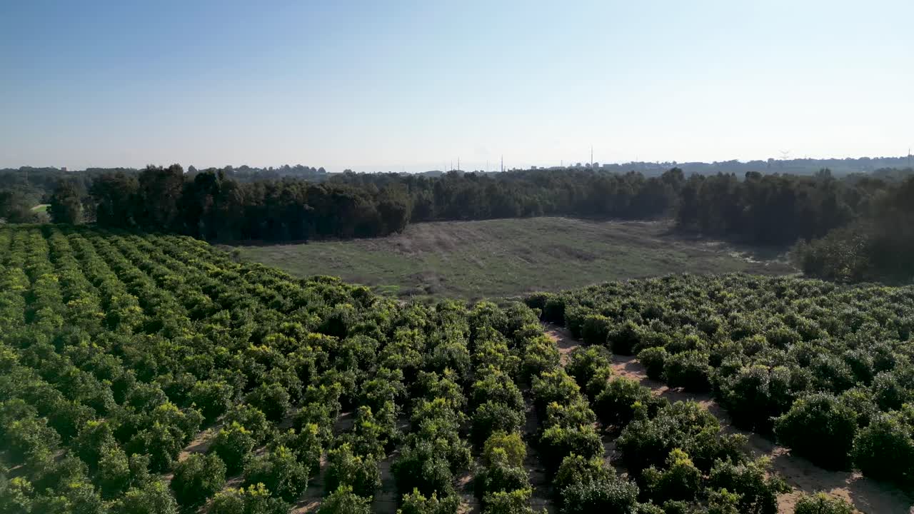videos de drones de 4k del estanque de invierno de rehovot, la vida aislada de la temporada de lluvias, antes de la inundación, rehovot israel