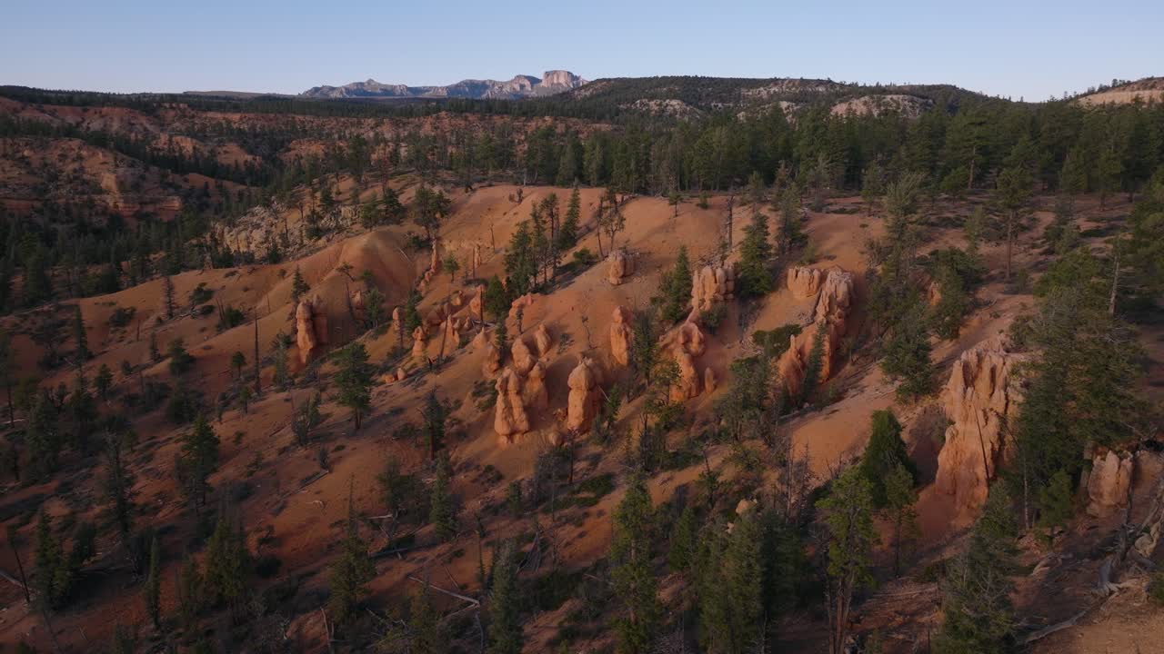 Hoodoos di arenaria appuntiti si ergono tra i pini nella Dixie National Forest, paesaggio dell'altopiano dello Utah, ascesa del drone.