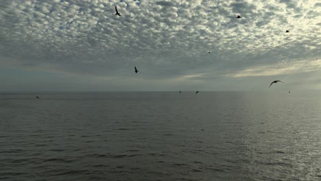 Vista-Aérea-Del-Vuelo-Sobre-La-Bahía-Móvil-En-Alabama