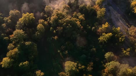 aerial drone bird zenithal view of a forest with mist at golden hour in morning, hill and mountain in background, tuscany, italy, europe