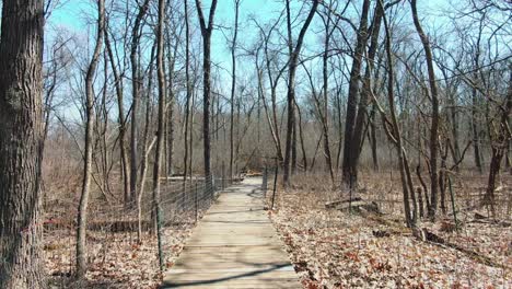 Hiking-trail-thru-the-woods-in-Wisconsin,-dry-tree-branches-during-early-spring