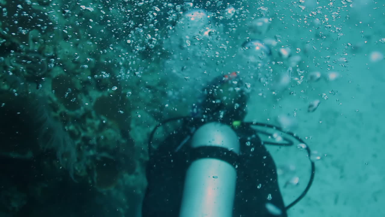 코즈멜 다이브 04