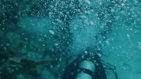 buceo cozumel 04