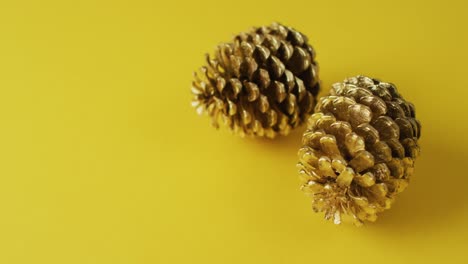 Video-of-pine-cones-lying-on-yellow-surface