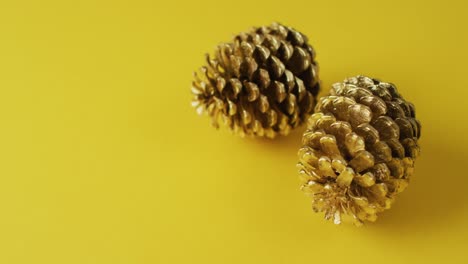 video of pine cones lying on yellow surface