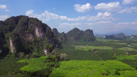 Lush-green-forest-is-covering-the-valley-floor-below-towering-limestone-mountains-in-krabi,-thailand