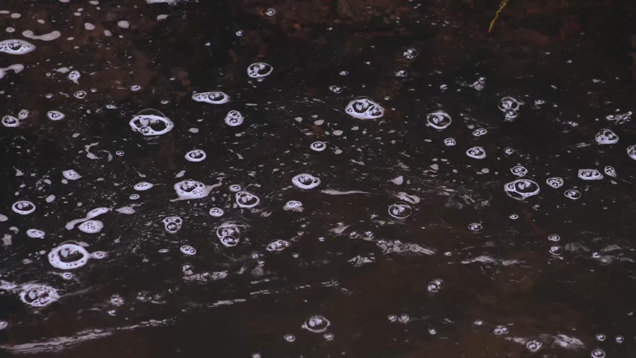 숲에서 강을 떠내려가는 거품