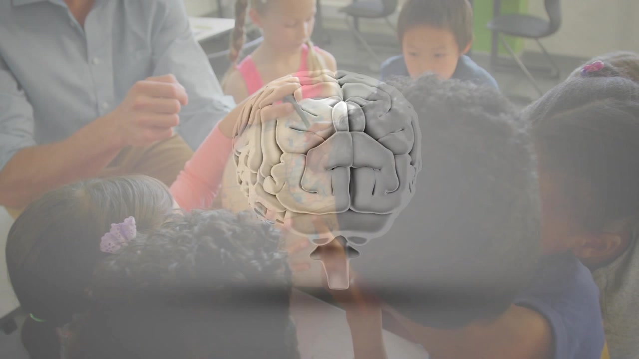 Profesor sosteniendo un modelo de cerebro y guiando a los niños, mientras una superposición de cerebro 3D gira y muestra regiones con fines educativos.