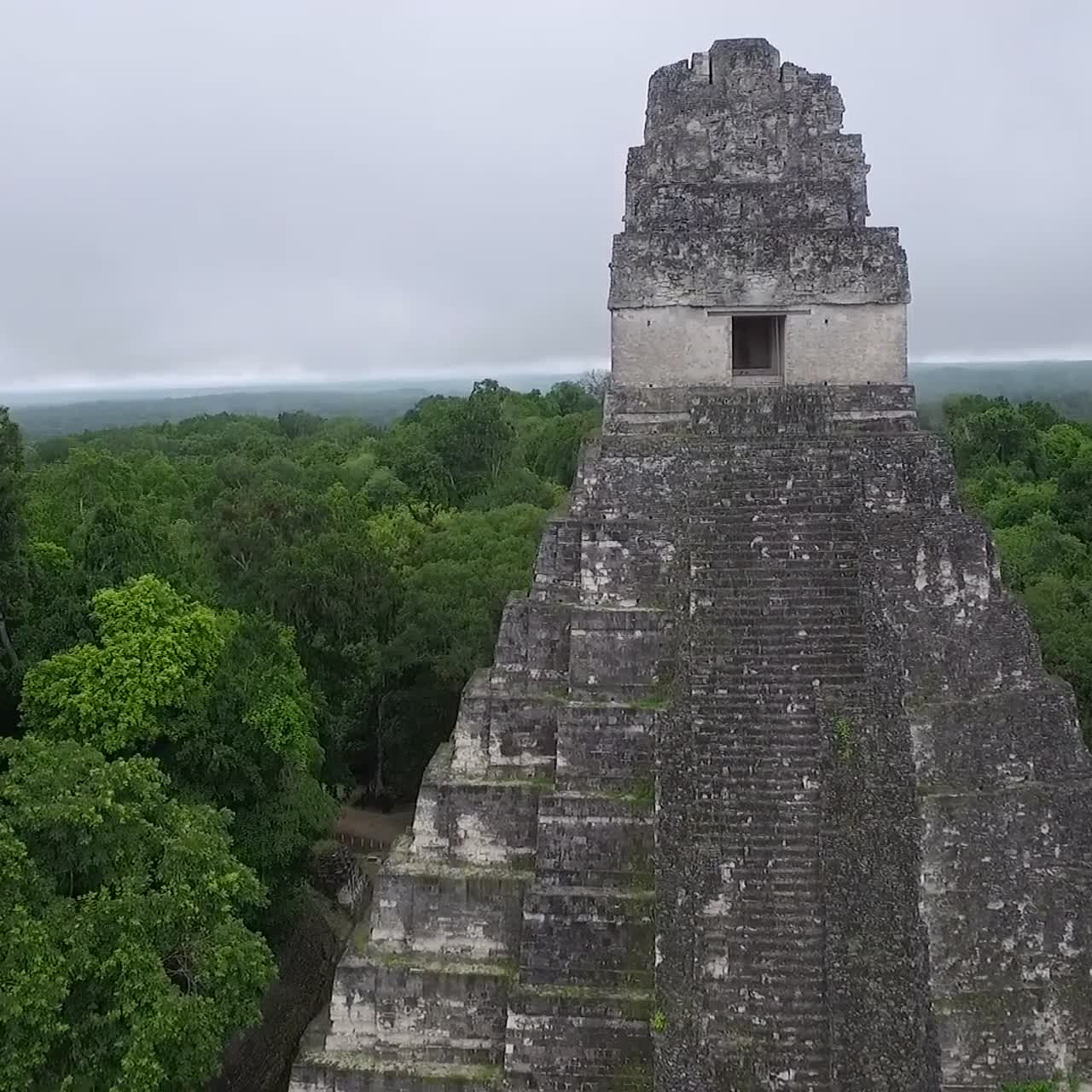gran toma aerea sobre las piramides de tikal en guatemala 4