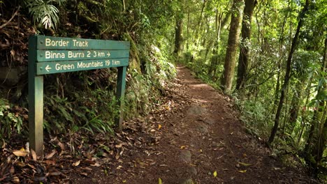 Handheld-Footage-of-signage-along-the-Main-Boarder-Track-in-Lamington-National-Park,-Gold-Coast-Hinterland,-Australia