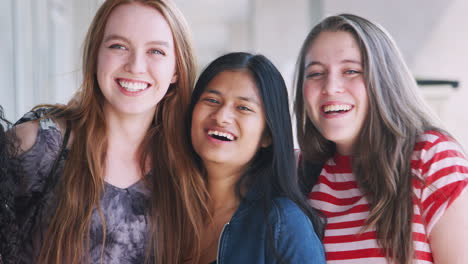 portrait of smiling female college student friends in corridor of building