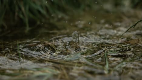 Regentropfen-Tropfen-In-Eine-Pfütze.