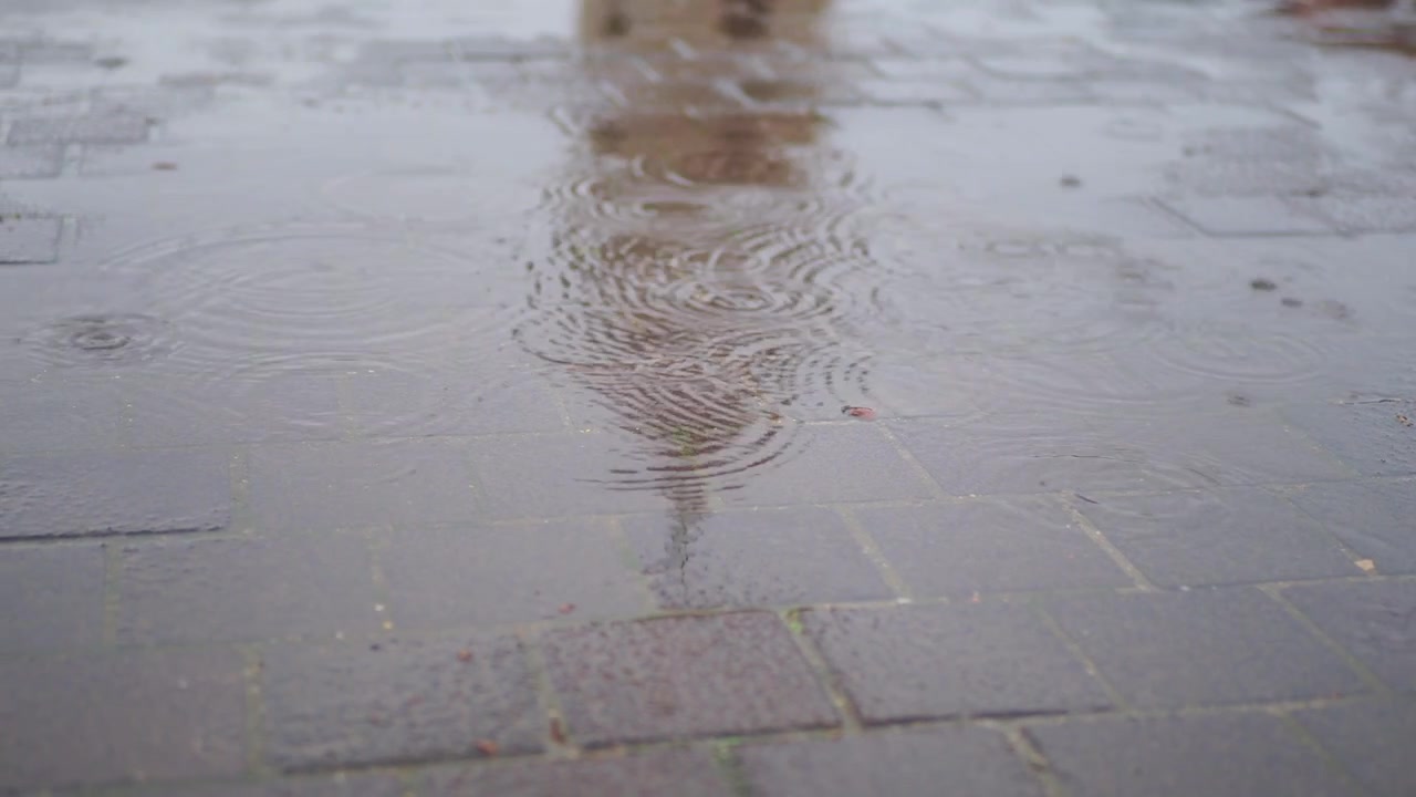 Close-up of Raindrops Creating Ripples on Wet City Pavement