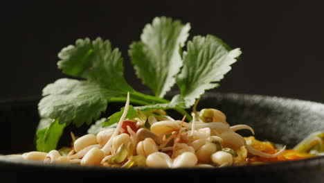 bowl of sprouts and vegetables