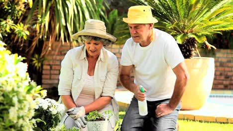 pareja madura trabajando en el jardín