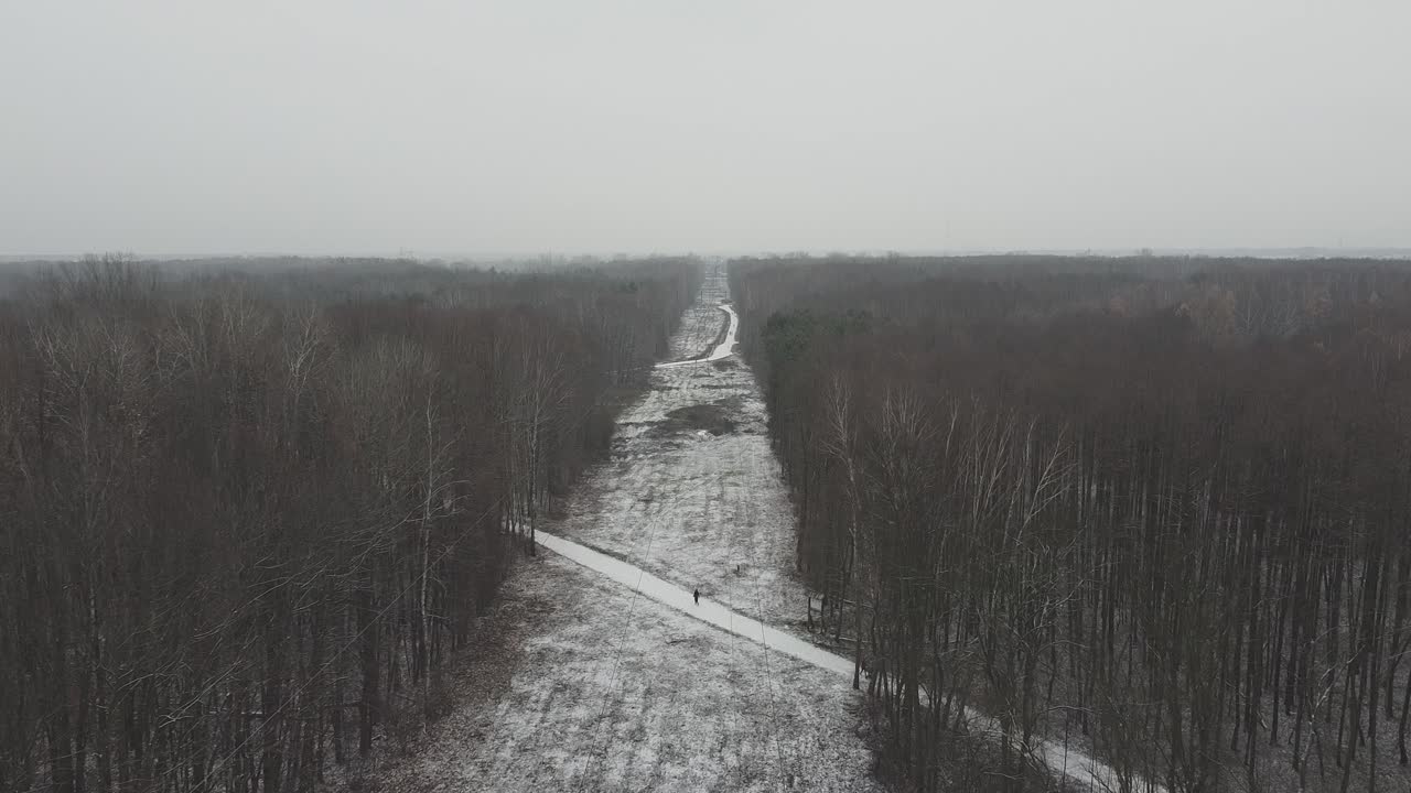 Ripresa con drone di una linea simmetrica in una foresta innevata, in avanzamento, in una giornata nuvolosa.