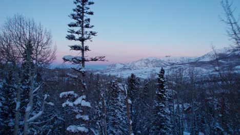 Drone-shot-through-the-trees-of-a-colorful-sunset-with-mountains