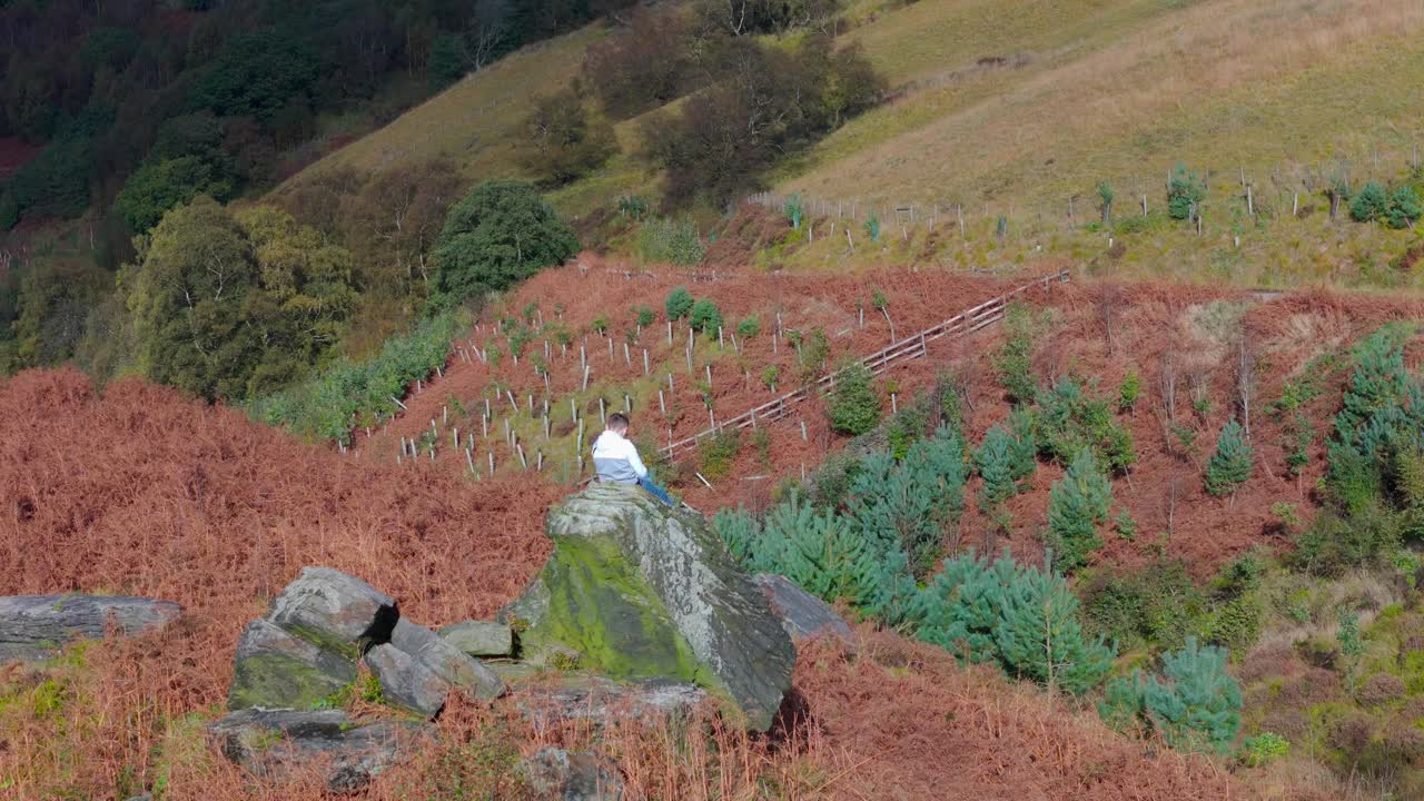 воздушные кадры вращаются вокруг задумчивого молодого мальчика, сидящего на значительном скальном выступе в местности болота