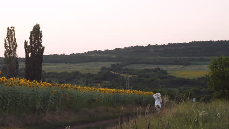 Mädchen-Mit-Weißem-Sonnenhut-Fährt-Fahrrad-In-Der-Sonnenblumenlandschaft-Bei-Sonnenuntergang-In-Zeitlupe