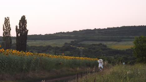 niña con sombrero blanco monta en bicicleta en el campo de girasoles al atardecer en movimiento lento