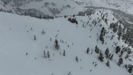 4K-drone-aerial-footage-of-a-skier-riding-down-a-steep-hill-in-the-snowy-backcountry-of-the-Sierra-Nevada-mountains-in-Lake-Tahoe-with-trees-and-snow-that-line-the-rocky-peaks