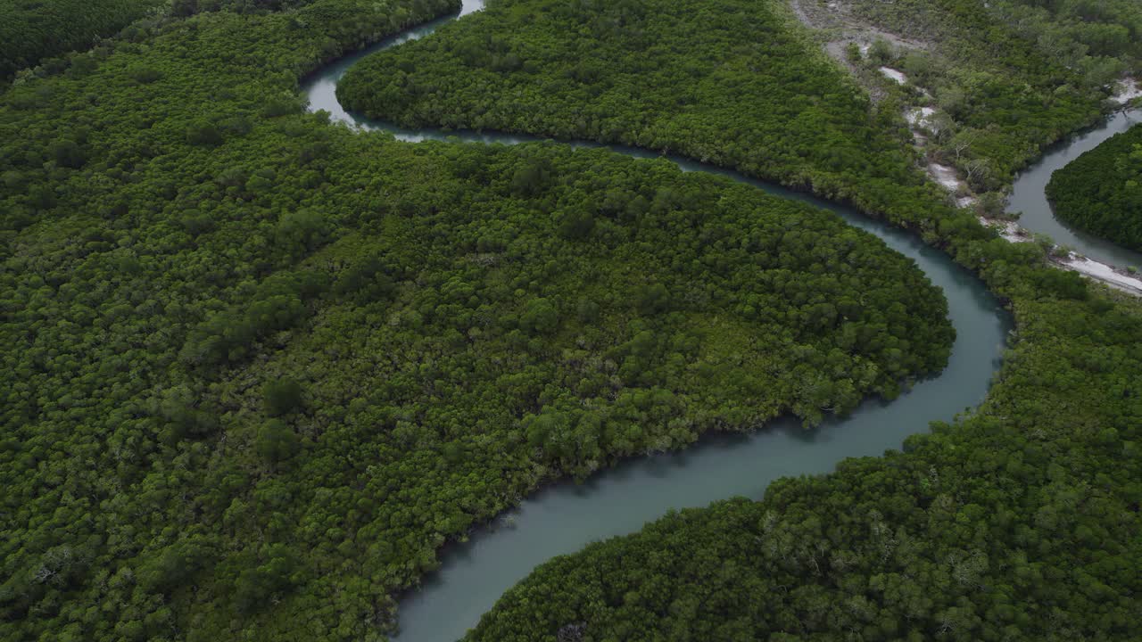 vista aérea del río en killaloe cerca del puerto deportivo de douglas en queensland, australia
