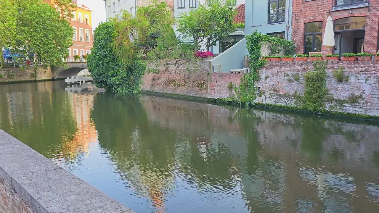Storica scena del canale di Heidelberg, Germania, con vecchi edifici in mattoni, un ponte ad arco in pietra, muri coperti di edera, alberi frondosi, fioriere e calmi riflessi sull'acqua nel quartiere della città vecchia