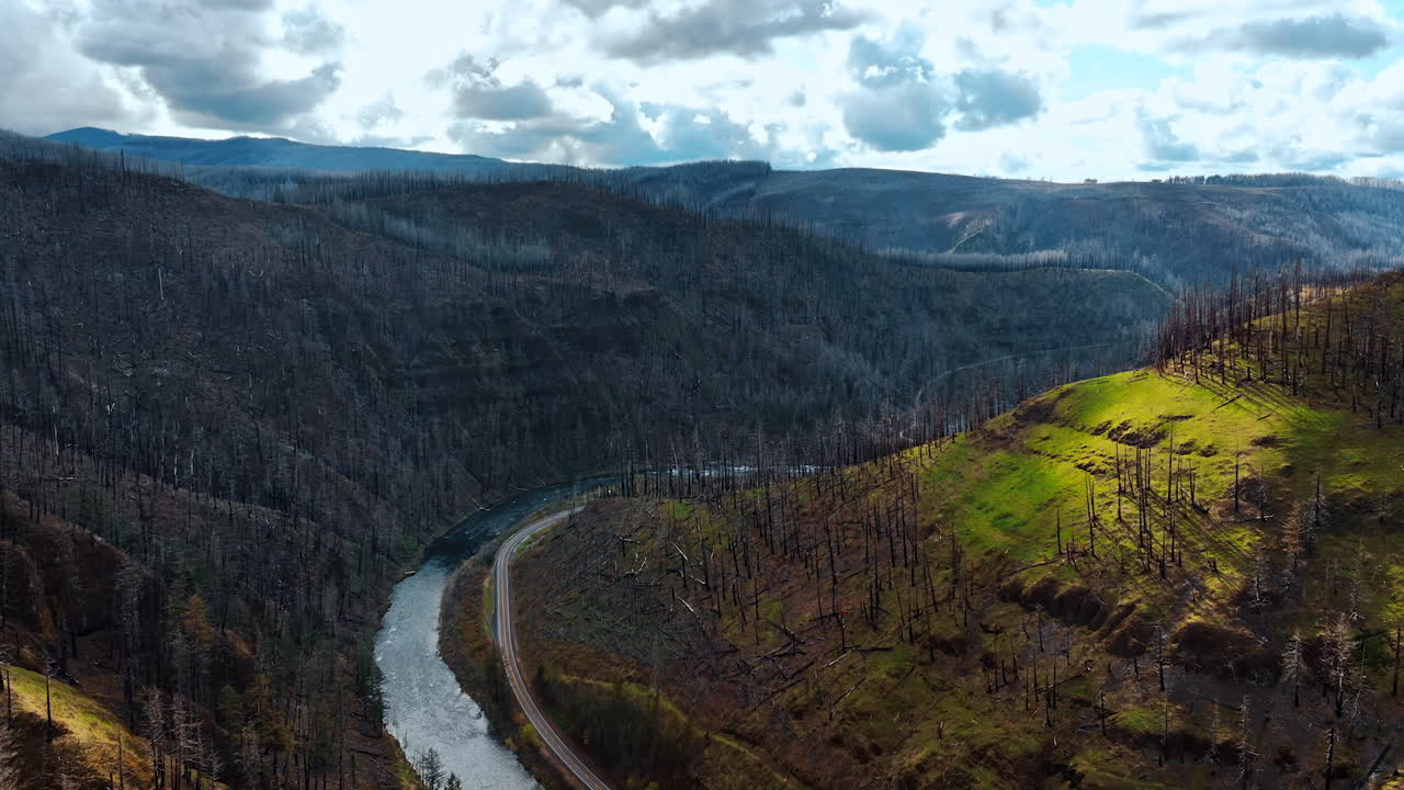 Flight over the narrow river winding among the mountains in Oregon State, the USA. Dry tree trunks from pine trees covering the rocks. Aerial view.