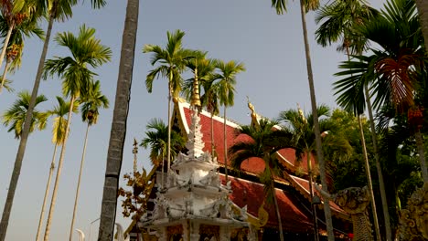 Stunning-cinematic-view-of-Thai-Temple-between-tall-palm-trees-at-sunset