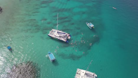 Aerial-tilt-down-of-large-group-of-tourists-snorkling-and-diving-on-the-Caribbean-island-of-Barbados-off-a-large-catamaran-boat