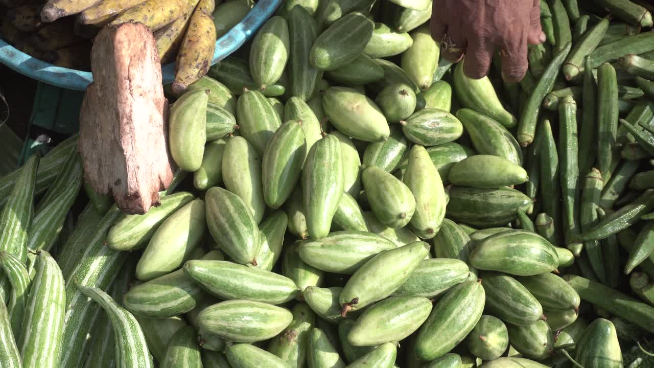 시장에서 판매되는 원시 채소 품종