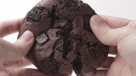 galleta doble de chocolate dividida por la mano de una persona