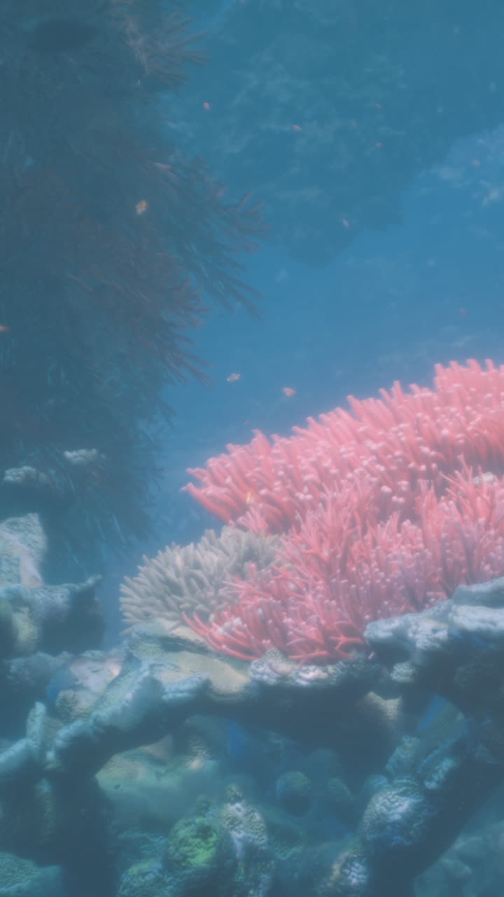 海中にある色鮮やかなサンゴ礁で、魚が水中の植物の近くを泳いでいる