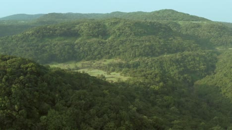 Vista-Aérea-Del-Bosque-En-Ghats-Occidentales-Del-Bosque-Indio