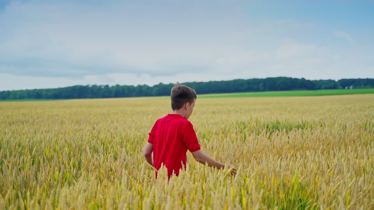 Children on yellow field. Boy throw straw hat to a little brother. Boys spend happy time outdoors in summer. Slow motion.