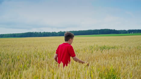 children on yellow field. boy throw straw hat to a little brother. boys spend happy time outdoors in summer. slow motion.