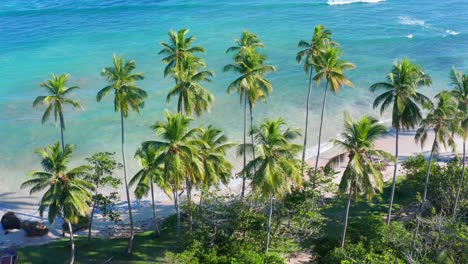 increíble toma aérea con drones de la playa de los coquitos en nagua, república dominicana.