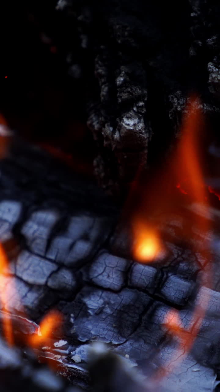 Bonfire. Burning logs in orange flames. Beautiful fire burns brightly. Embers of the fire climb up. Slow motion Vertical video