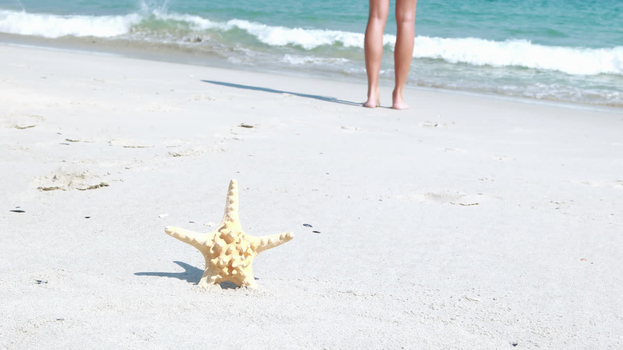 vista trasera de la mujer y la estrella de mar en la playa