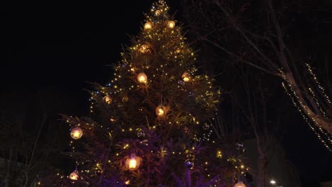 árbol de navidad decorado al aire libre durante la noche, iluminado con luces en el parque de la ciudad.