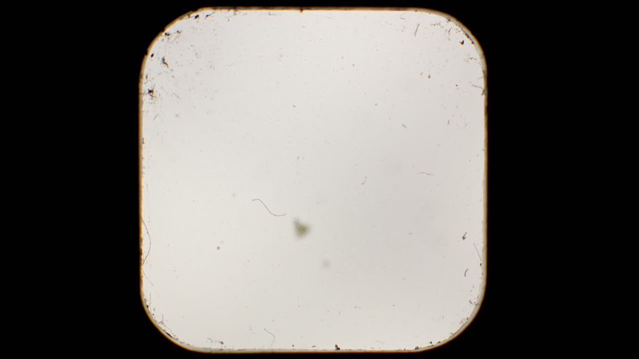 6x6 vintage camera viewfinder overlay