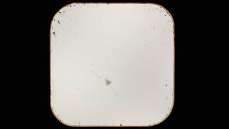 6x6 vintage camera viewfinder overlay