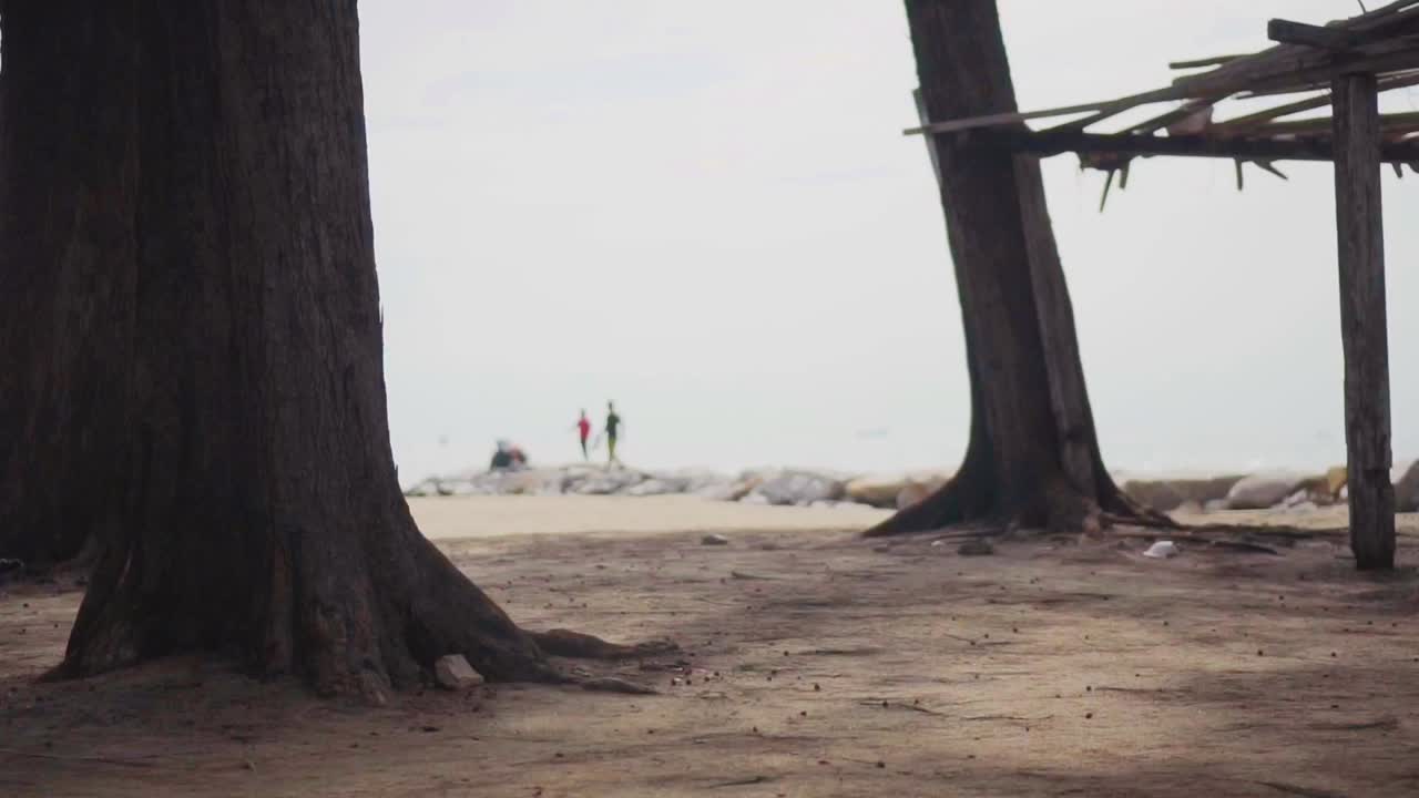 Blur Silhouette Of Distance People Walking On The Beach In Between The Big Old Tree And Shelter