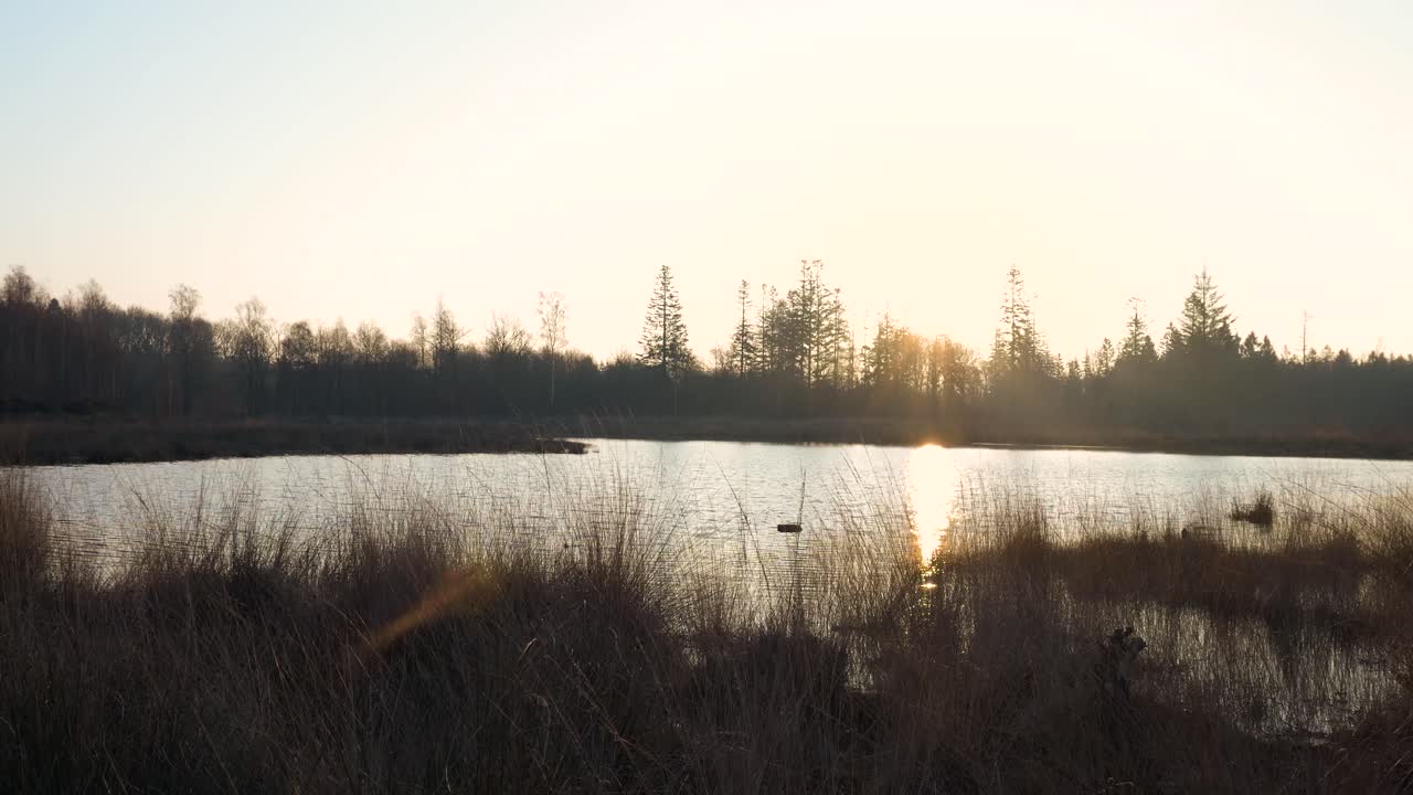 puesta de sol sobre un tranquilo lago pantanoso