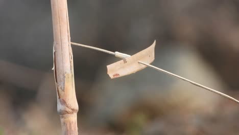 바람 테스트 - 기류 - 속도