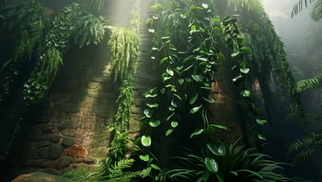 lush green jungle vines and ferns on stone wall with light rays